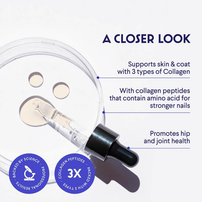 Kriath Collagen for Dogs, Supports Joint Relief & Healthy Skin Coat, Gut Health